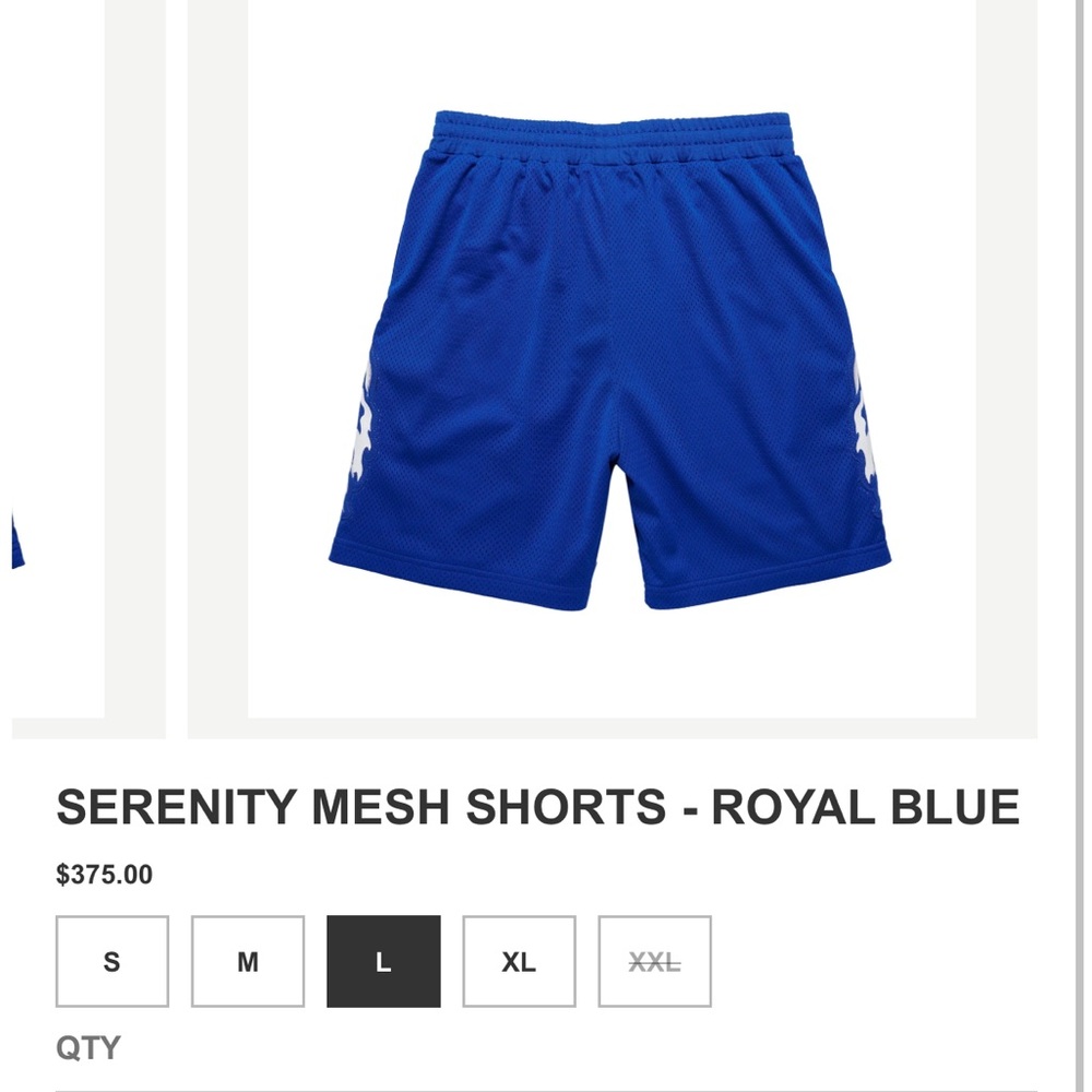 Warren Lotas Serenity Athletic Mesh Shorts - Royal Blue. Size L . BRAND NEW